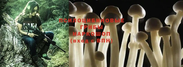 ECSTASY Верхний Тагил