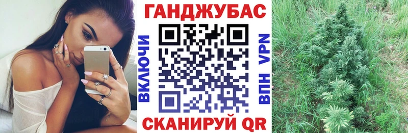 Канабис сатива  Вяземский 